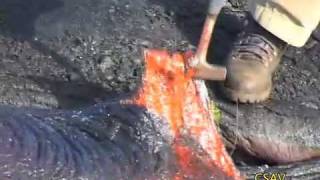 CSAV Hawaii Sampling Molten Lava UH Hilo Geology Department [upl. by Schonfeld]