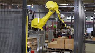 Standard Robotic Palletizer  Pallet Handling [upl. by Celesta]