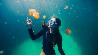 The Most Beautiful Free Diving in the World [upl. by Atiuqel915]