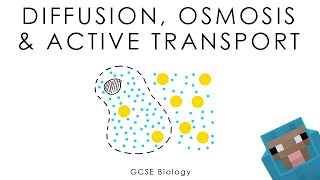 Diffusion Osmosis amp Active Transport  Biology full version [upl. by Meela]