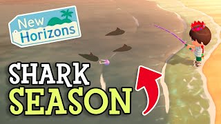 Animal Crossing New Horizons SHARK SEASON amp New Mystery Island How To Find RARE Sharks Details [upl. by Labannah937]