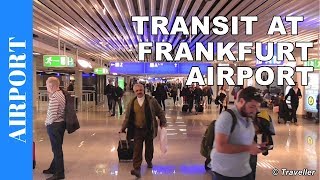 TRANSIT WALK AT FRANKFURT Airport FRA Terminal 1  Connection Flight Transfer Arriving amp Departing [upl. by Sseb]