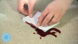 How to Remove Any Carpet Stain  Martha Stewart [upl. by Sibley]