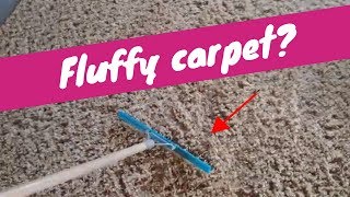 How to Fluff Carpet  Rendalls Cleaning [upl. by Petuu]